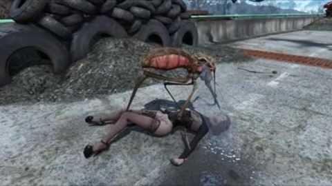 Fallout 4 — Mutant Insect 3D Game-Style Clip